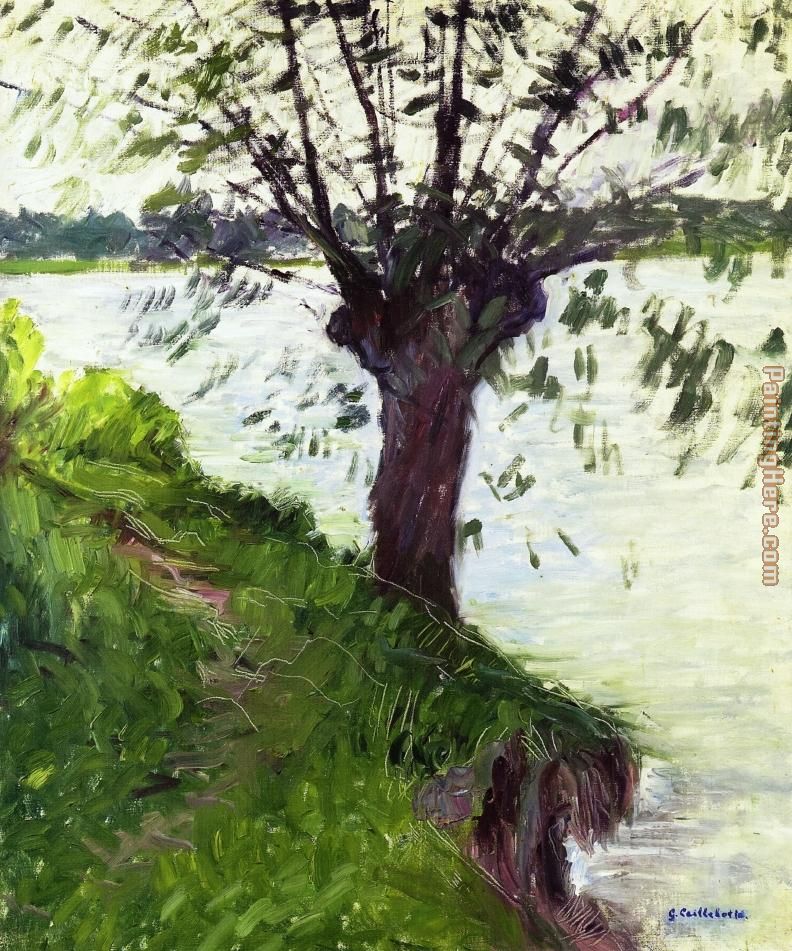 Willow on the Banks of the Seine painting - Gustave Caillebotte Willow on the Banks of the Seine art painting